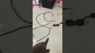Car LED neon under glow lights |#shortsvideo  |#short