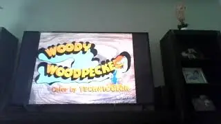 Phony Pony (1969) opening on metv toons