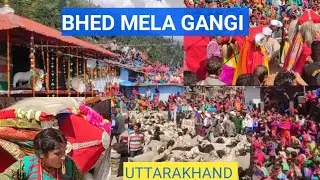 गंगी गांव मैं सोमेश्वर देवता का भेड़ मेला 🐏🐑 Bhed Mela Gangi Someswhar Devta (UTTARAKHAND)