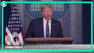 President Trump on freezing immigration for 60 days during the coronavirus pandemic