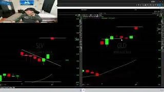 Se dio rentabilidad en las Acciones de !SLV! Y !GLD! En la apertura en opciones CALL