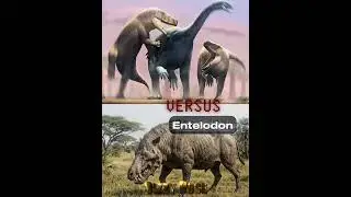 Fasolasuchus vs Top biggest non theropod land predators #prehistoric #animals #vs #1v1 #dinosaur