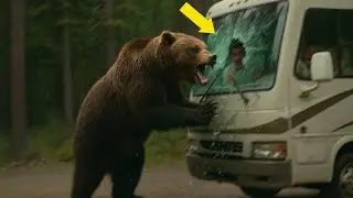 Grizzly Bear Rips Open RV After Smelling Baby Formula on July 23rd