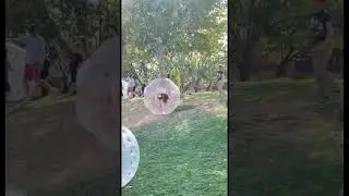 Inflatable Bumper Ball Fun! #funny #bumper #inflatable #balls #familyfun