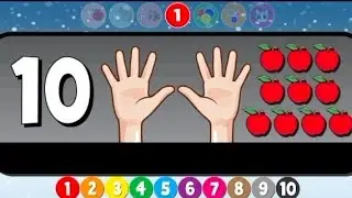 Numbers, colors and shape 