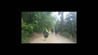 Pananalasa ng Bagyong Pepito sa Isla