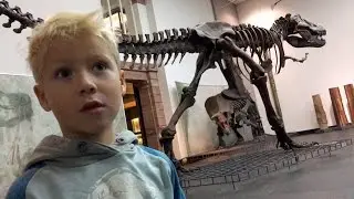 Senckenberg Museum Frankfurt / Main DINOSAUR with JACK JACK (4)