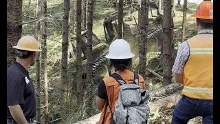 Oregon Board of Forestry Field Tour September 4, 2025