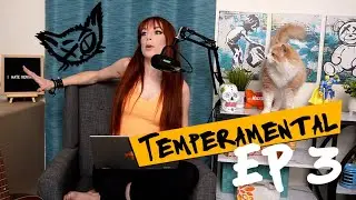 New Level of Social Awkwardness (Ep 3) | Temperamental with Lisa Foiles