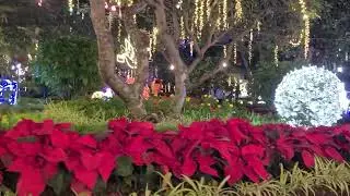 Weihnachten 2025 im Stadtgarten von Funchal