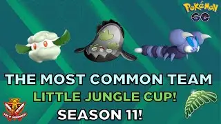 The TOP COMMON TEAM in the LITTLE JUNGLE CUP! Season 11!