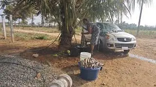 பொங்கல் வீடு cleaning|vessel washing|some tips|Home tour🌿