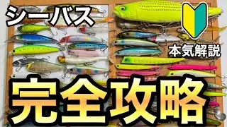 【永久保存版】シーバス本気解説！季節ごとのシーバスの釣り方を初心者向けに本気で解説してみた！