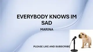 EVERYBODY KNOWS IM SAD​ BY: MARINA​ (LYRICS)