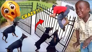 Try Not To Laugh Challenge 😂| Funniest Moments 2026 | Crazy Funny Videos Ever In The World | Lev 40