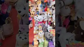 Cute ❤️#cat #toys #shortsfeed #reels