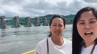 Joice David