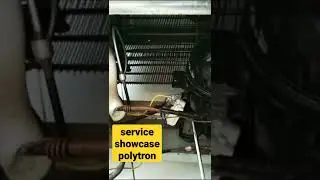 short service showcase polytron