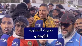 الجماهير المغربية توحد صفوفها خلف الكونغو