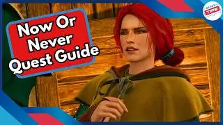 Now Or Never Quest Guide + Best Dialog Choices in Witcher 3