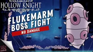 Hollow Knight: Flukemarm No Damage 1080p HD