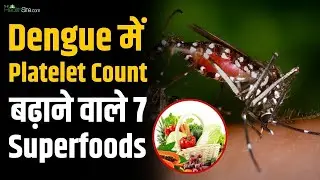 How To Increase Platelet Count In Blood: Dengue में Platelet गिरने पर ज़रूर खाएं ये 7 Superfoods