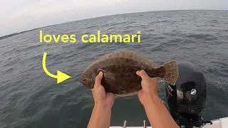 CAPE COD BOTTOM FISHING: Fluke/Flounder, Black Sea Bass, and Striped Porgy
