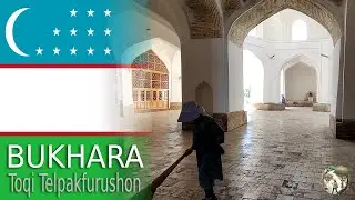 Early Morning at Toqi Telpakfurushon | Bukhara, Uzbekistan