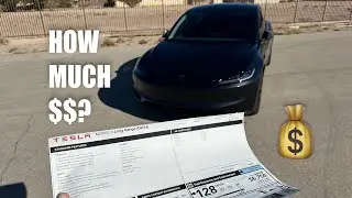 Monthly Payment on my 2024 Tesla Model 3! | Lease vs Finance