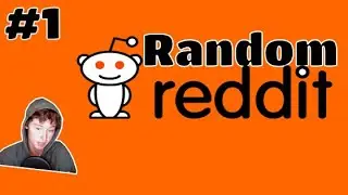 Excuse me WHAT?!? | Random Reddit #1