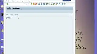 TYPES and DATA in SAP ABAP