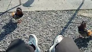 Chilling with bros