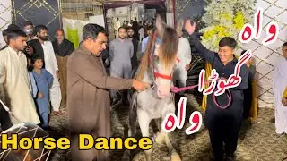 Pakistani Mehndi Function 2025 | Horse Dance Highlights 🔥 | Desi Wedding Vibes | Muhammad Jabbar