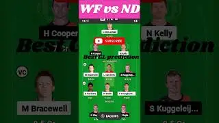 WF vs NB Dream11, WF vs NB Dream11 Prediction, Wellington Firebirds vs Northern Brave, Super Smash