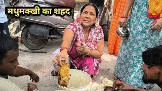 Madhumakhi Ka Shahad Ped Par Chad Kar Nikala | Natural Honey Harvesting Video in India