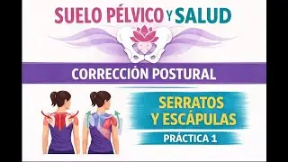 SUELO P&Eacute;LVICO Y SALUD.  LSE.  CORRECCI&Oacute;N POSTURAL.  SERRATOS Y ESC&Aacute;PULAS.  PRACTICA 1