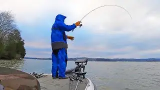 Jak złapać PRZEZIĘBIENIE, WYBREDNEGO, CRAPPIE! Spraw, żeby ugryzły dzięki tym TRIKOM!