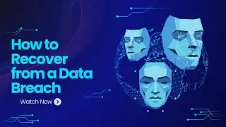 How to Recover from a Data Breach