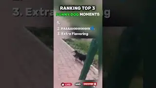 Which one is your favorite? #dog #memes #funnymoments #memesdaily #meme