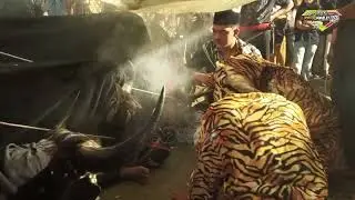 Putra Raga tunggal Fersi terbaru live tegalweru dau malang 2025