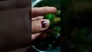 #shorts #silk#cotton trees #fruit  food#ytshort  #youtubeshorts #cooking #recipe #semal # #trending