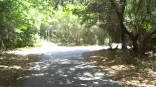Biking Hilton Head Island, South Carolina