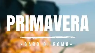 PRIMAVERA - GABO DI ROMO (&bull;Oficial Video Lyric&bull;)