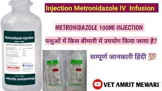 Injection Metronidazole uses in hindi | मेट्रोनीडाजोल का पशुओं में उपयोग | Metronidazole veterinary