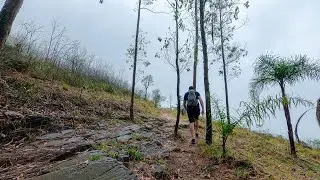 TRILHA DO PAI ZÉ - PICO DO JARAGUÁ