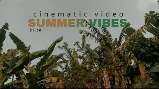 Cinematic video 1 menit | SUMMER VIBES | di halaman rumah