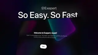 Introducing Exepert | Flare Studio