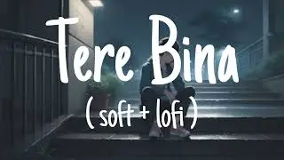 Tere Bina | (soft + lo-fi ) Indian cinematic type sad song lyrics #musica 