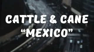 Cattle & Cane - Mexico (Lyrics)