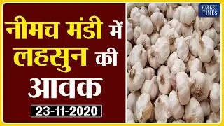 Garlic Arrival Today In Neemuch Mandi | New Fresh Onion Arrival Today In Neemuch Mandi